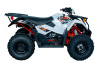AU300 EFI