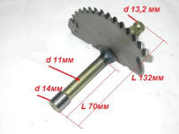 28250