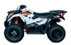 AU300 EFI-1